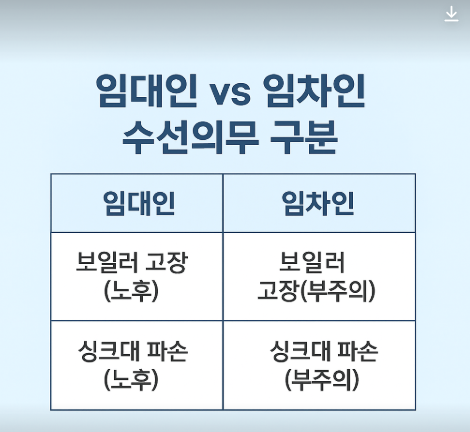 자이수선 이미지