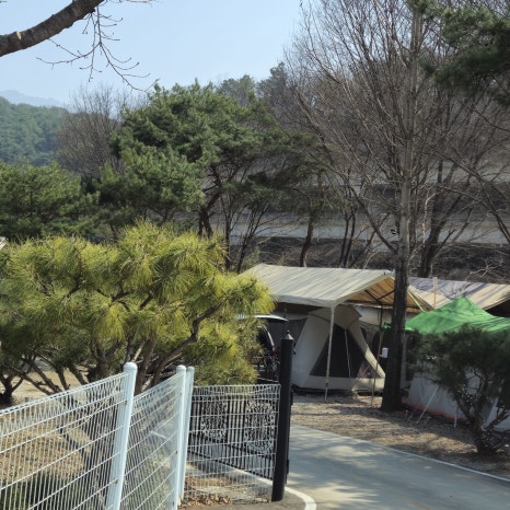 포천리버빌캠핑＆카페 이미지