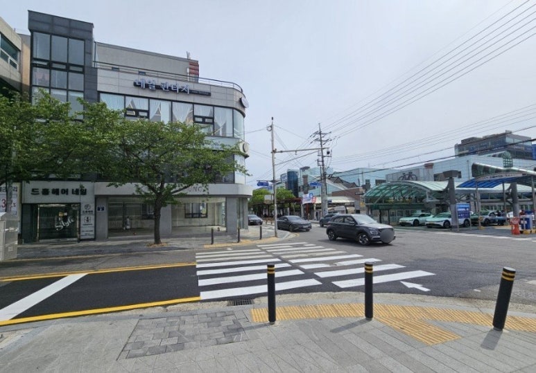 드홀헤어 이미지