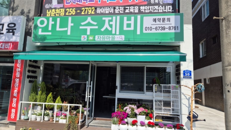 안나수제비 이미지