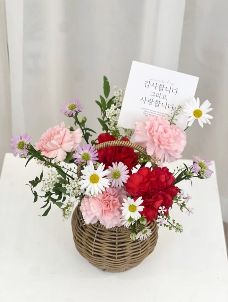 플레르희스타 이미지
