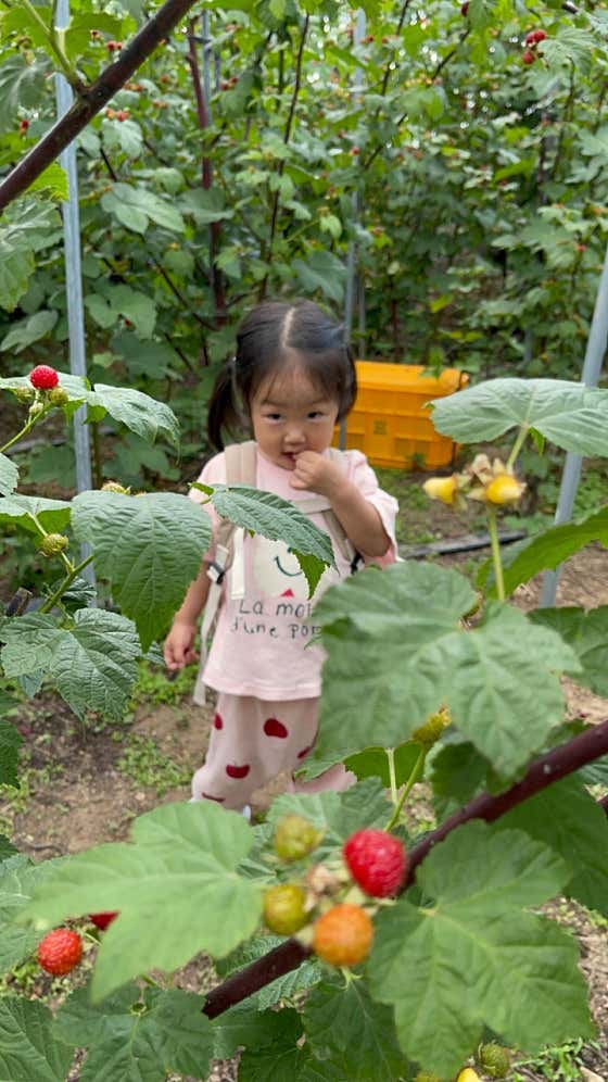 별;그린 이미지