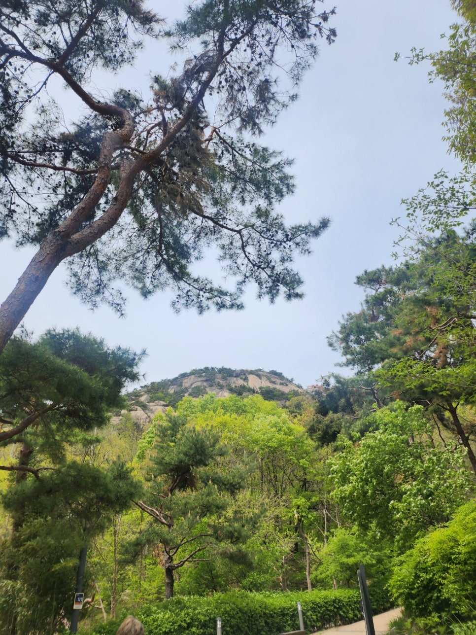 인왕산정상에서 본 이미지