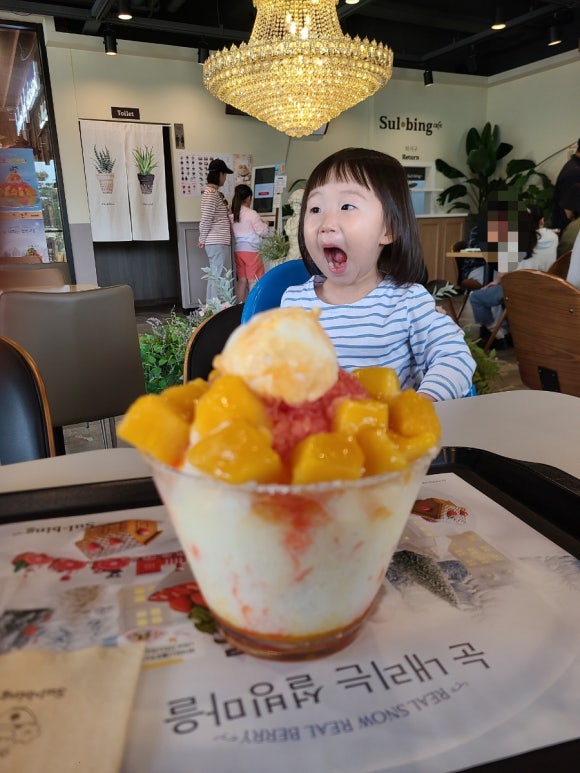 설빙 북한강점 이미지