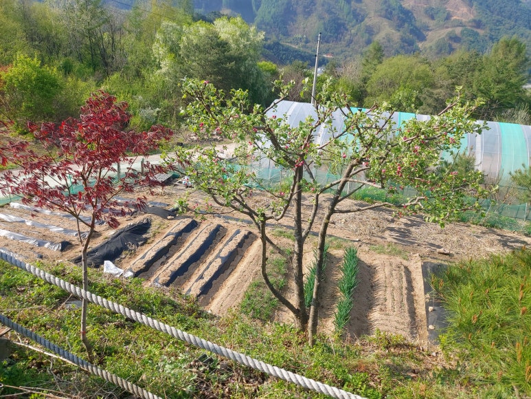 선애황토방 이미지