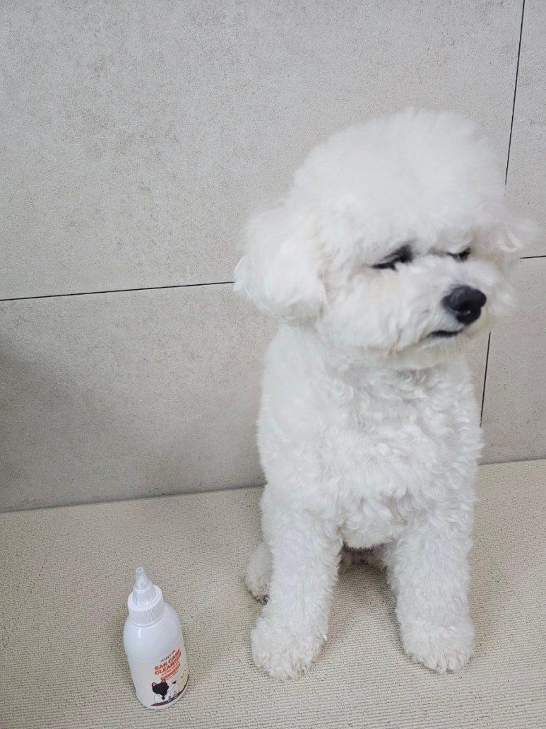 레스트펫 이미지