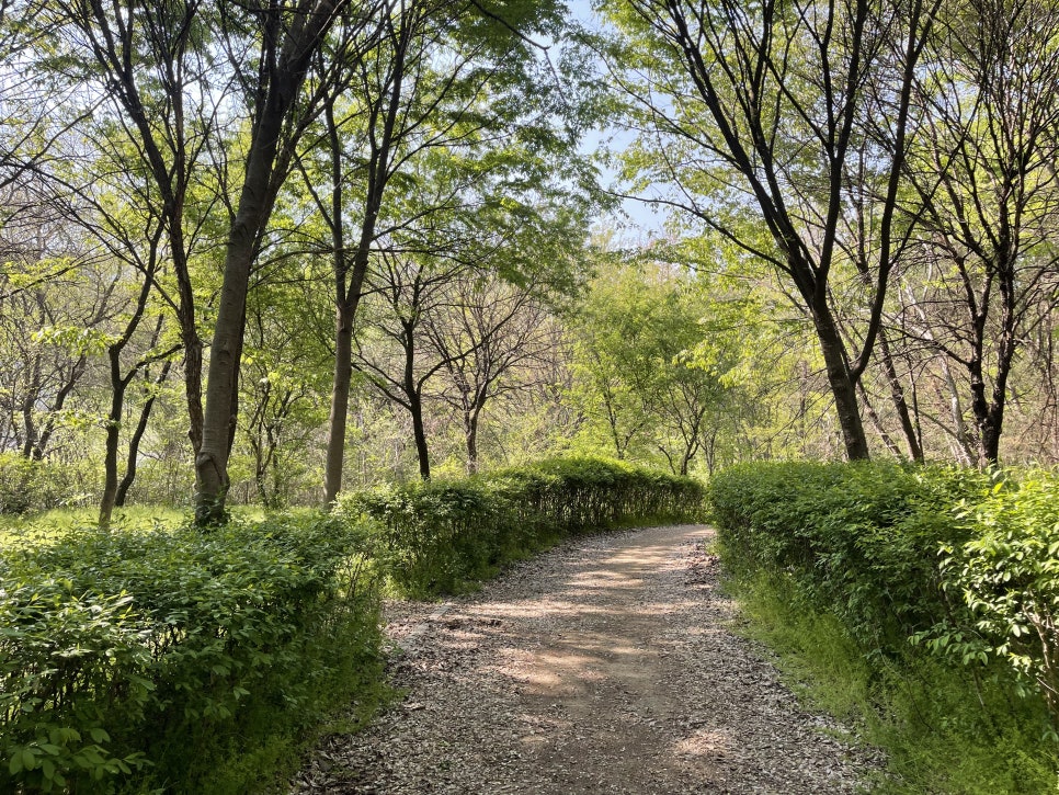 피크닉청평 이미지