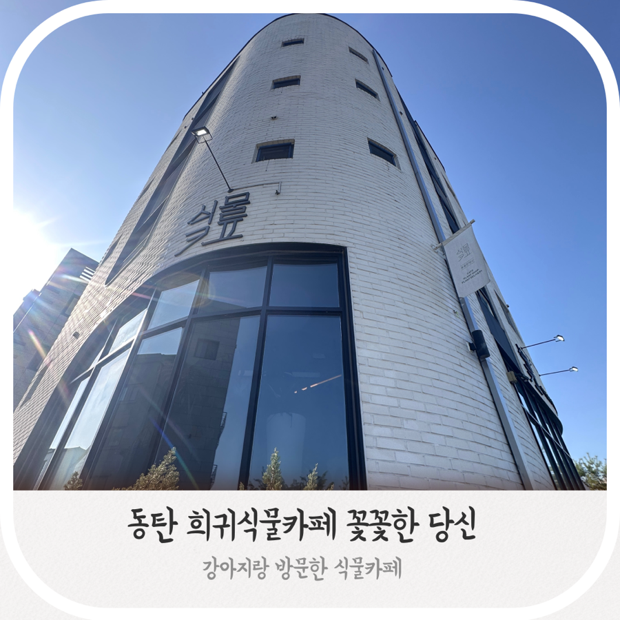 꽃꽃한당신 이미지
