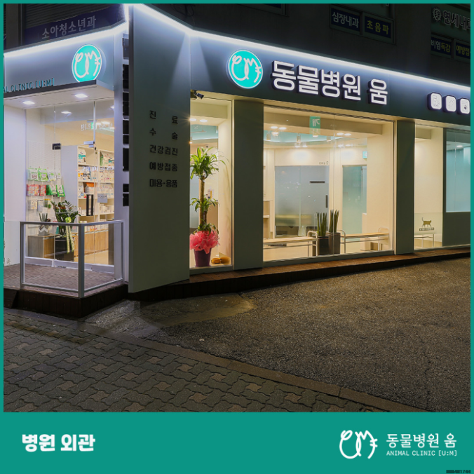 윤디자인 이미지