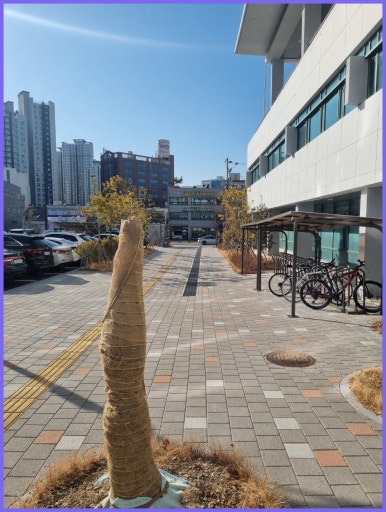 금정세무회계 이미지