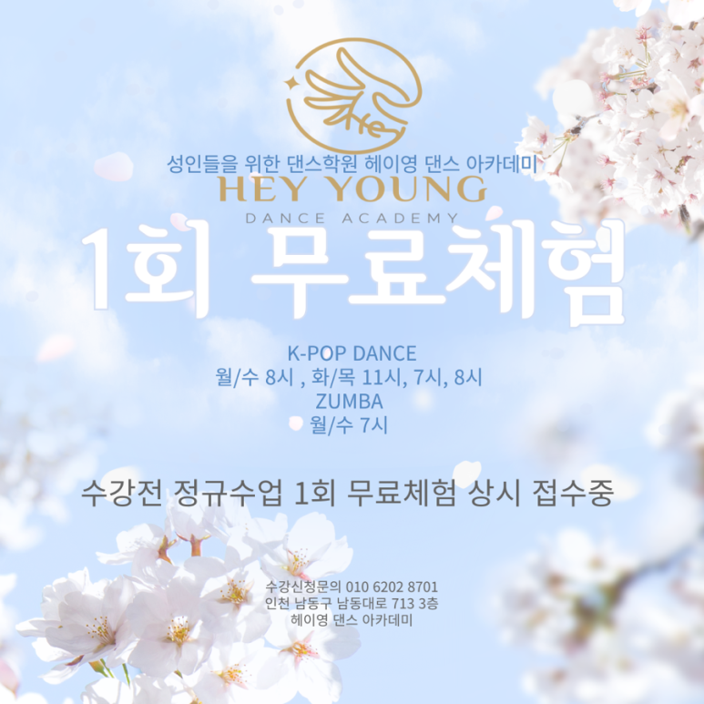 영댄스아카데미 이미지