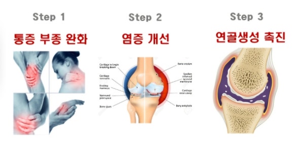 조인과학 이미지