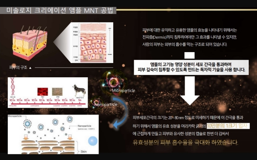 셀비아 이미지