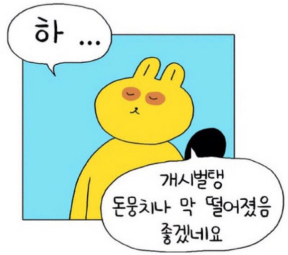 로컬악센트 이미지