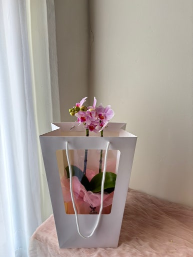 라움보자기 이미지