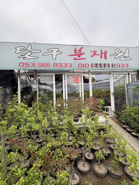미준토기 이미지