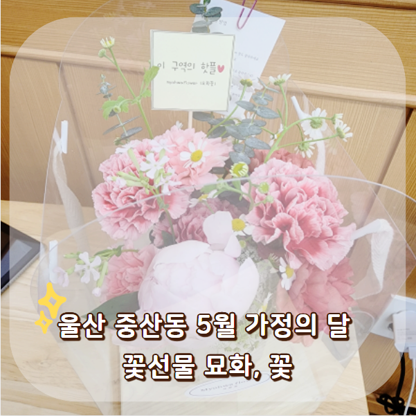 묘화꽃 이미지