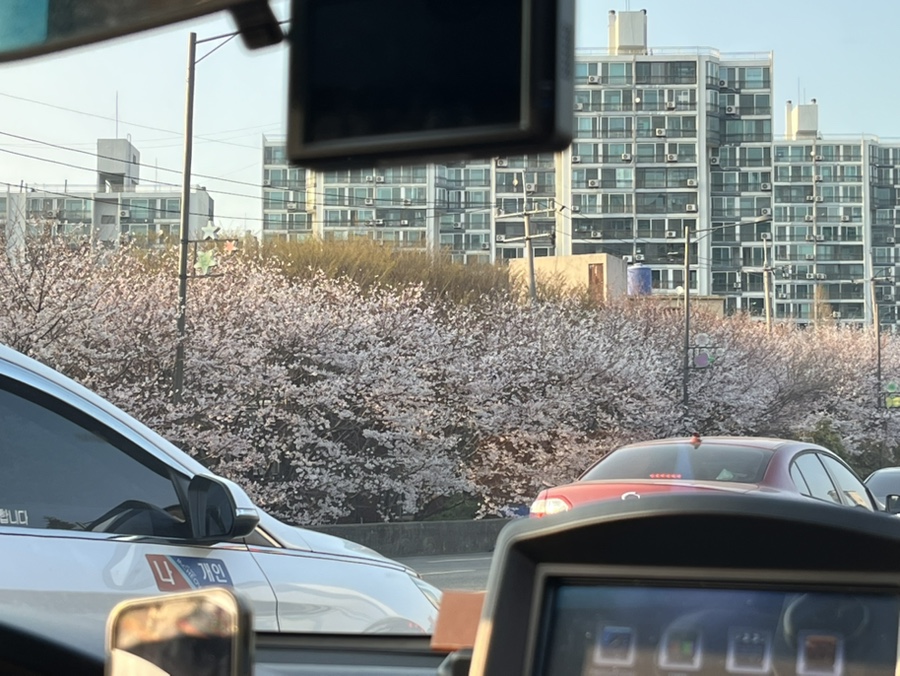 강일식 이미지
