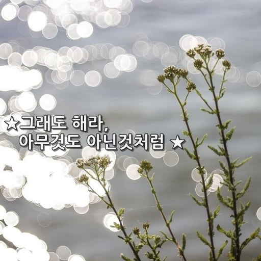 해라 이미지