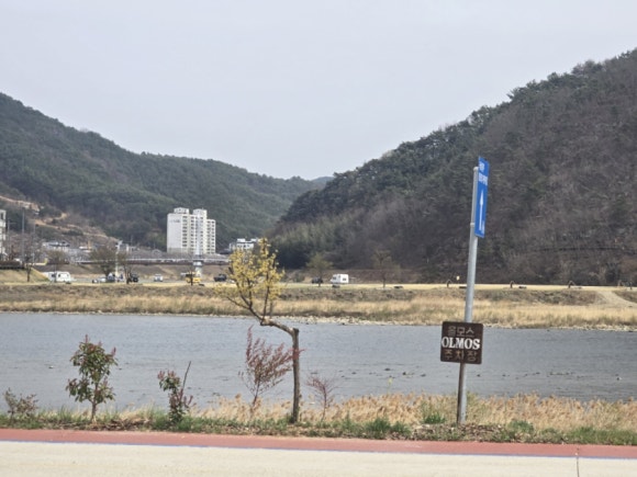 OLMOS 이미지