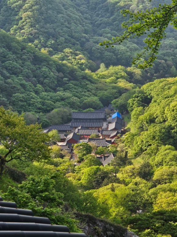 경문 이미지