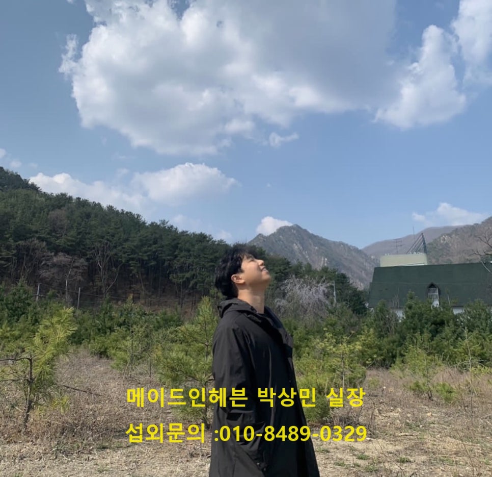 라이브사랑벌 이미지