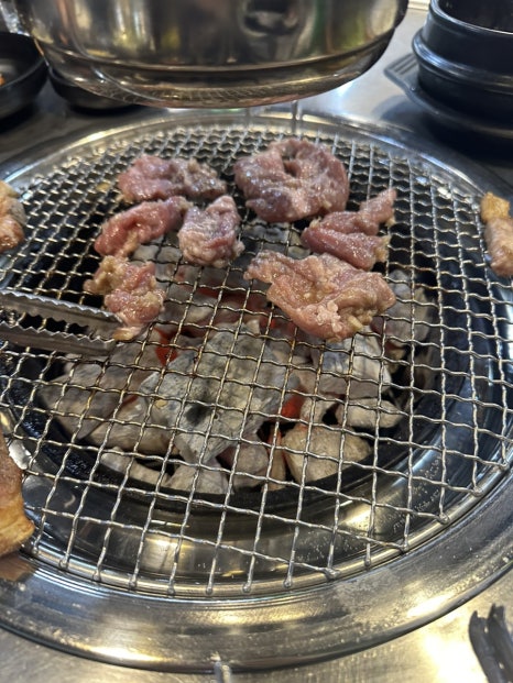 옥길동갈매기 이미지