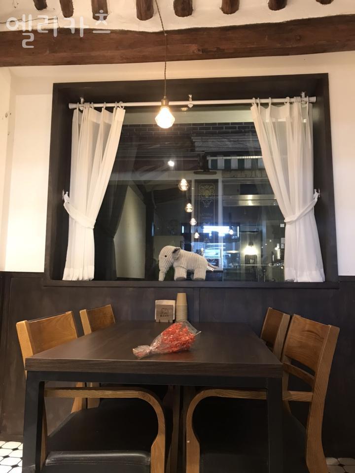 엘리카츠 이미지
