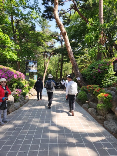 꽃동산문구 이미지