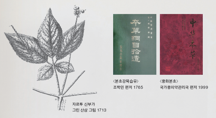제너럴그래픽스 이미지