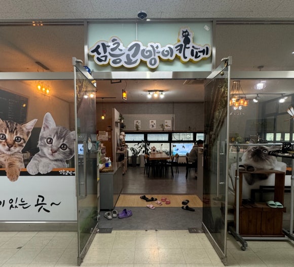 삼층고양이 이미지