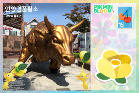 울산축협본점 이미지