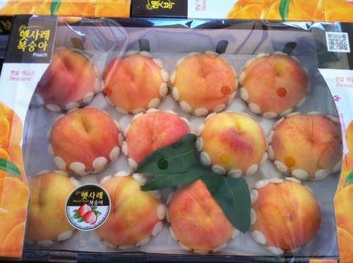 칠성농원 이미지