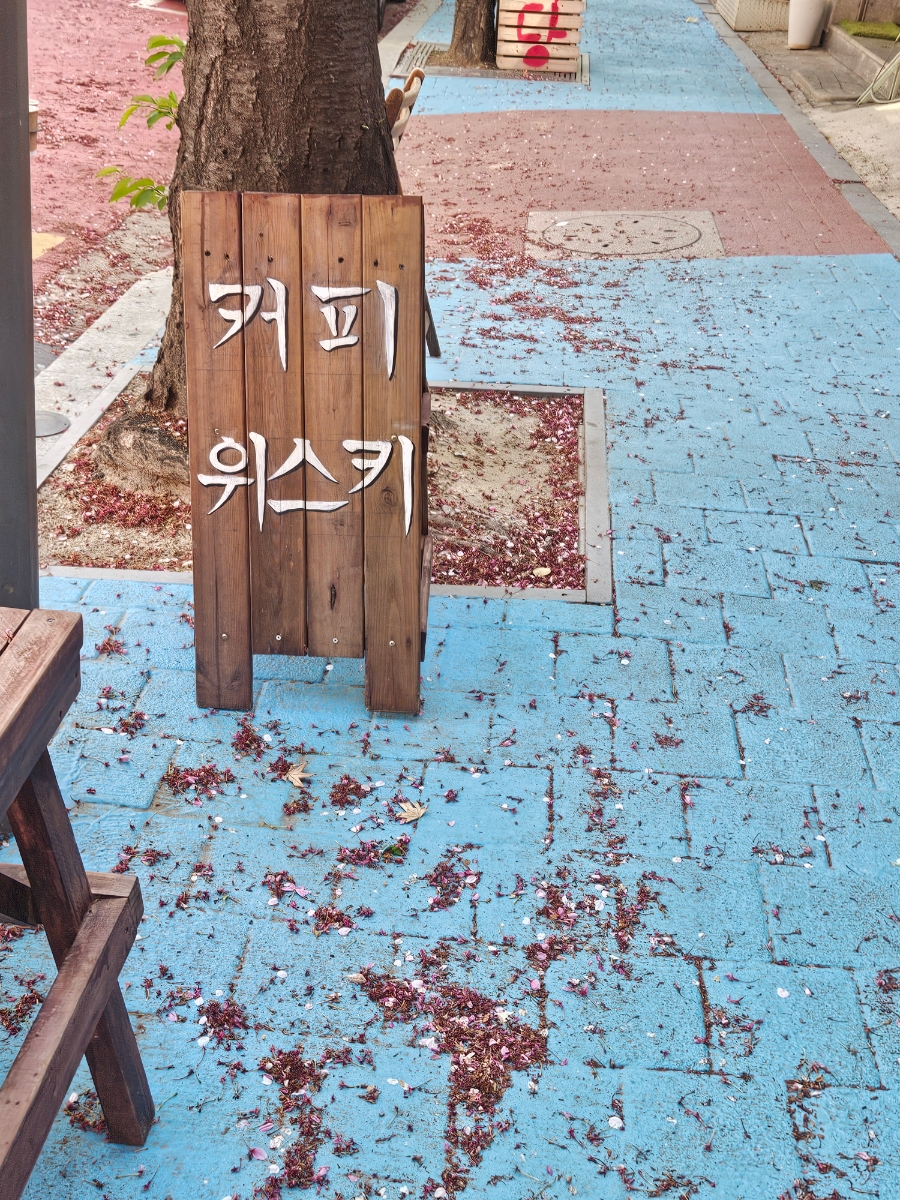 휴고살롱 이미지