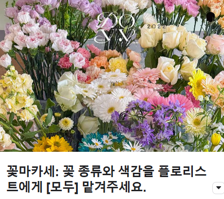 도이브 이미지