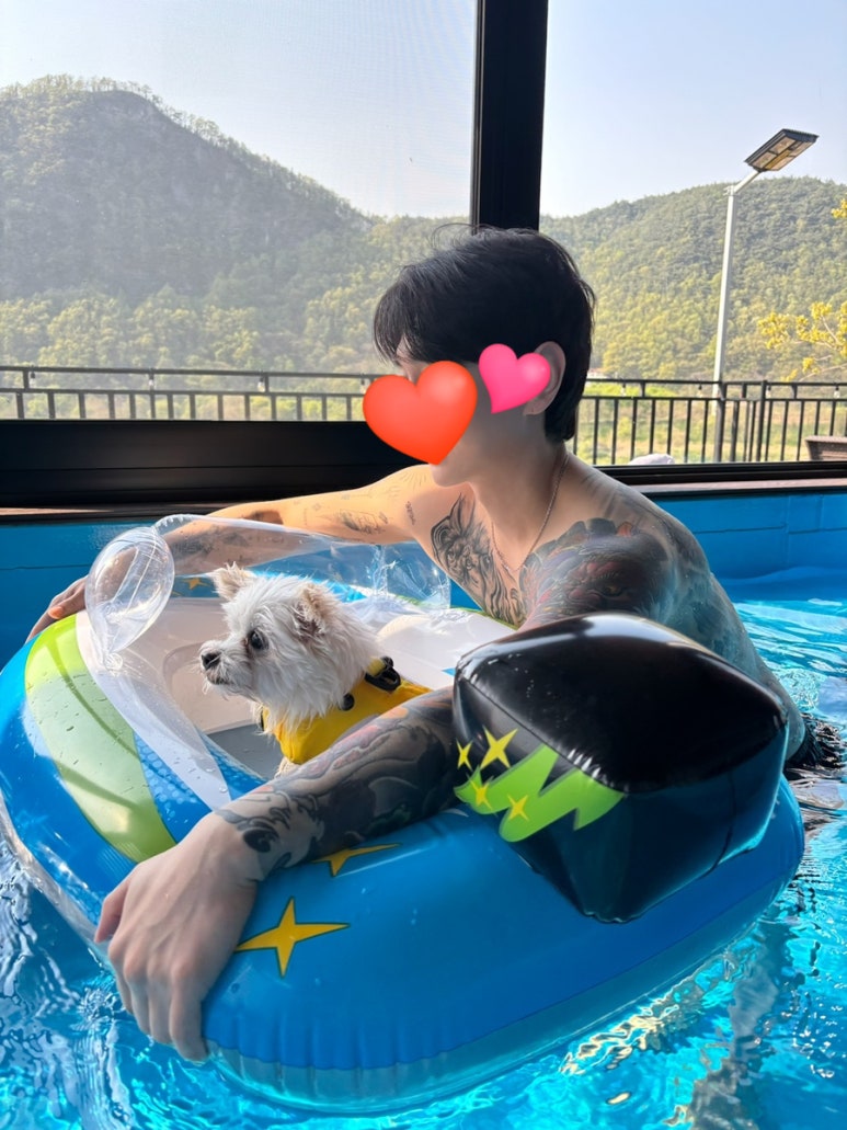 강아지풀애견펜션 이미지
