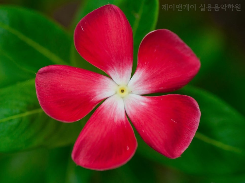 제이앤케이실용음악학원 이미지