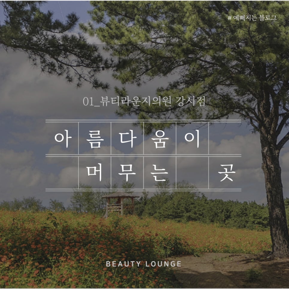 뷰티라운지강서 이미지