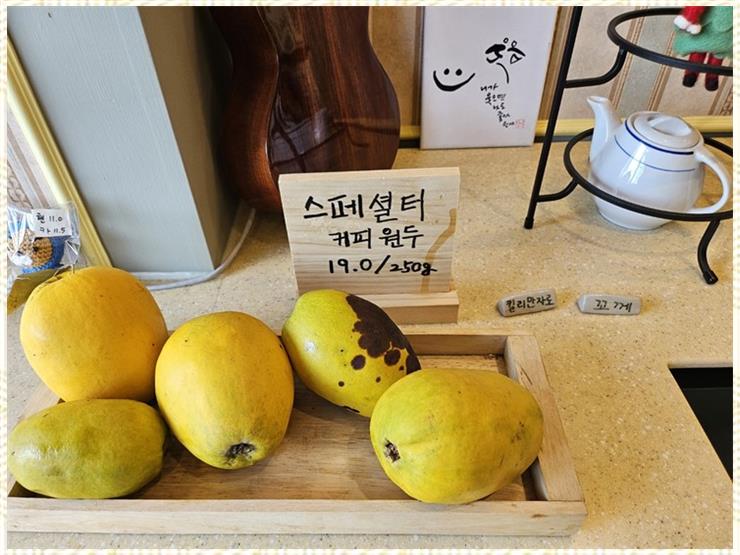 카페엠 이미지