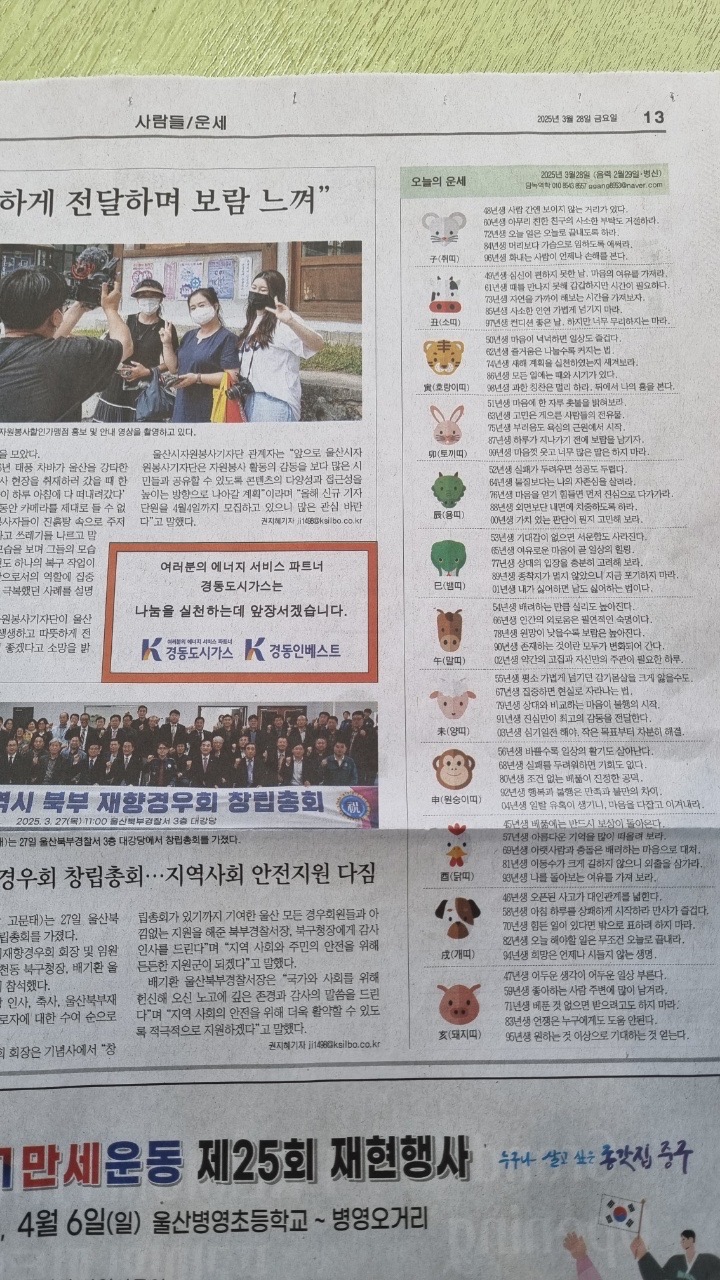 담녹 이미지