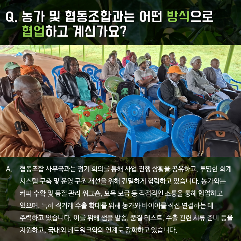 임팩트커피 이미지