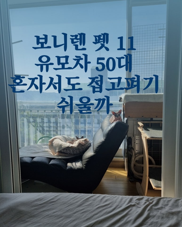 보니렌 펫11 유모차 50대 혼자서도 접고 펴기 쉬울까?