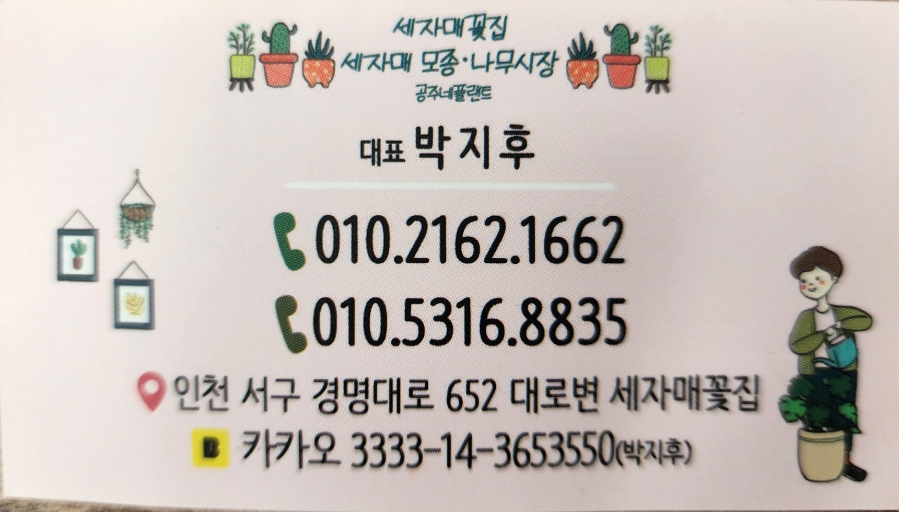 공주네플랜트 이미지