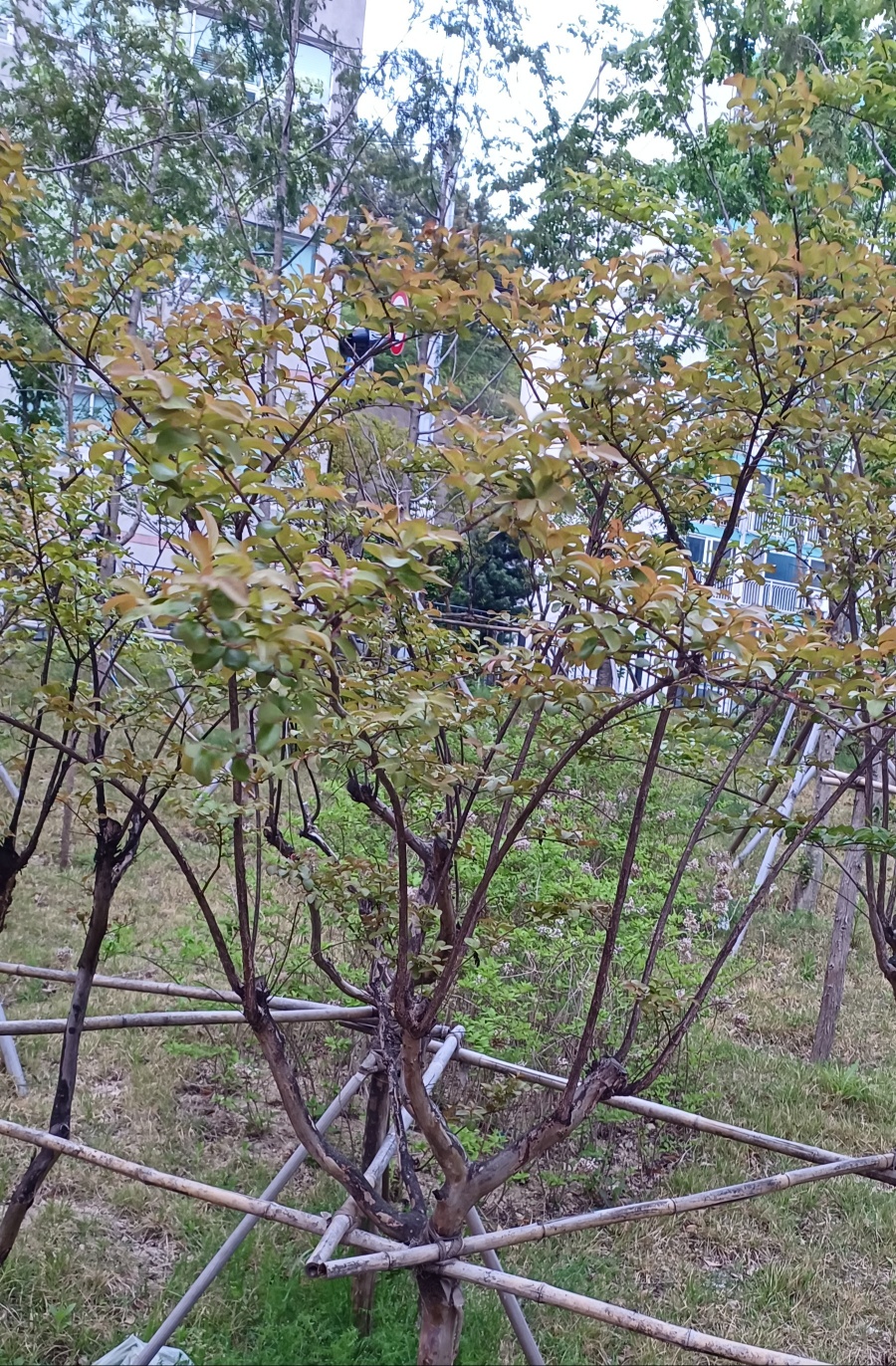 안녕친구야 이미지