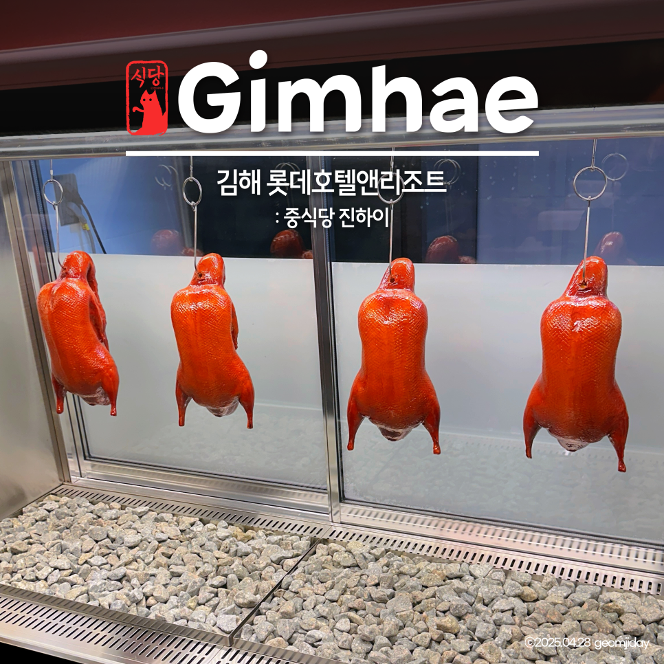 진하이 이미지