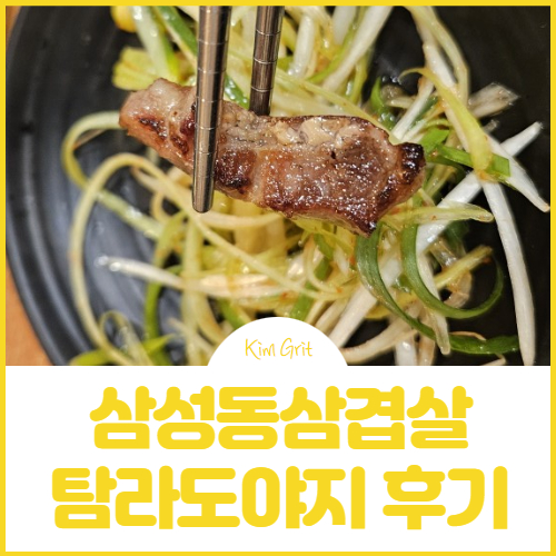 탐라도야지2 이미지