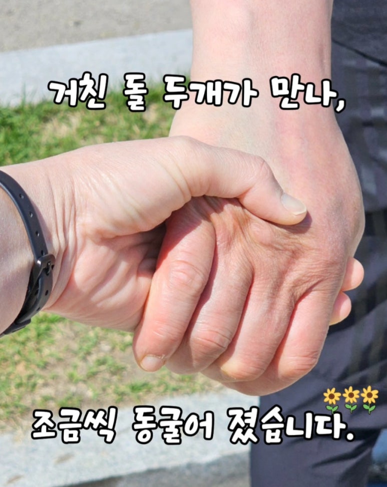 동해정육점 이미지