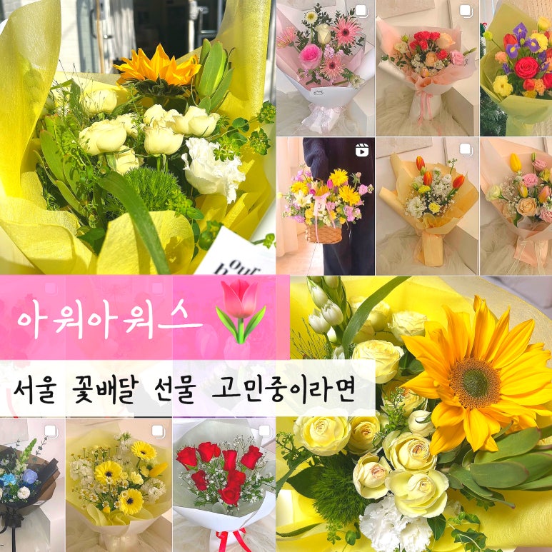 아워아워스 이미지