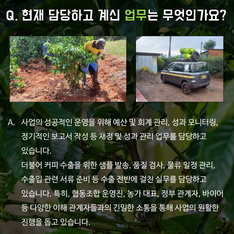 임팩트커피 이미지