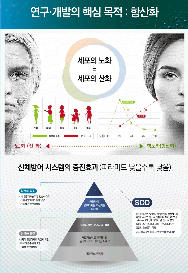 원천슈퍼 이미지